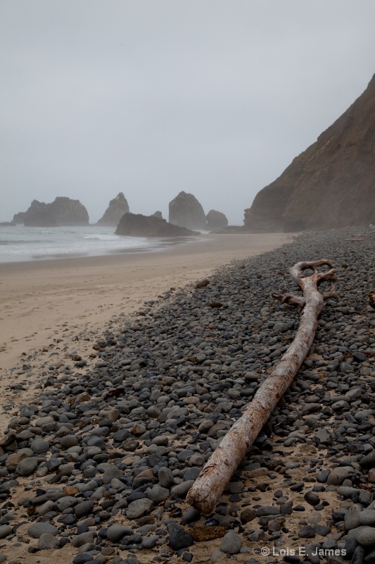 Oregon coast