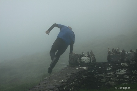 Jumping Into The Fog