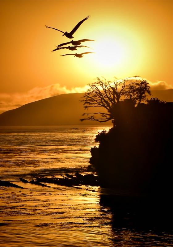 Shell Beach California