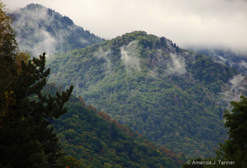 Smokey Mtns.