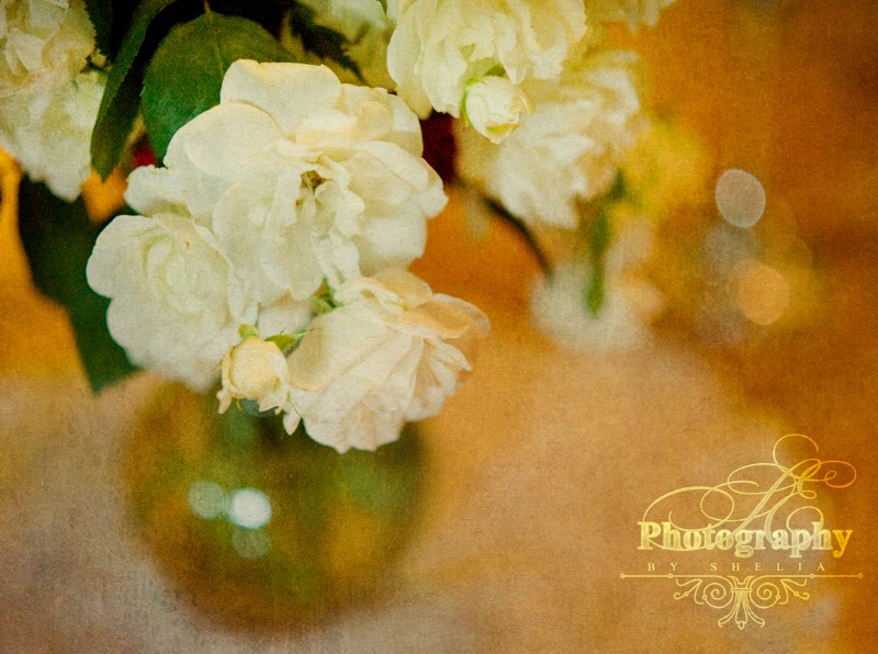 Bouquet in White - ID: 13266443 © Shelia Earl