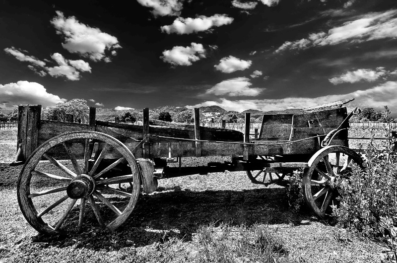 1899 GRAPE WAGON WITH POWER BRAKES - ID: 13266641 © Tony Pecorella