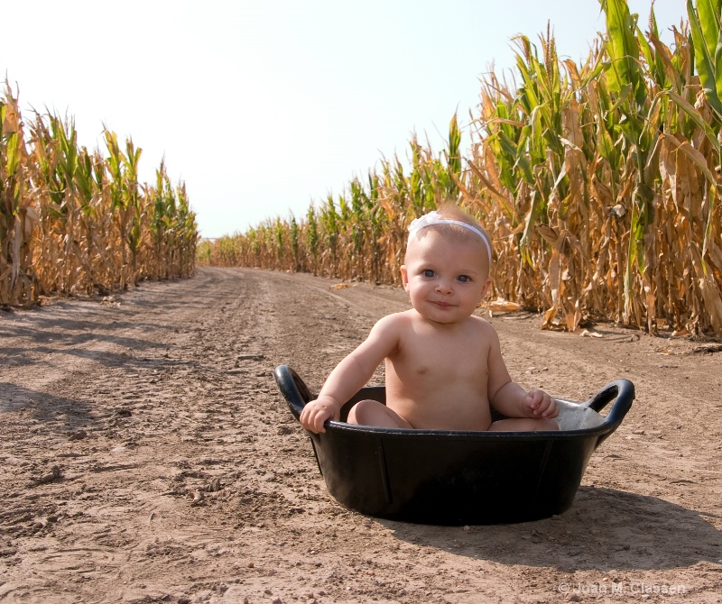 Kid in a Cornfield