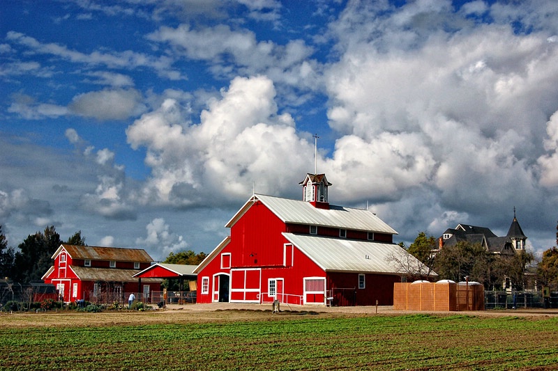 Hansen's Red Barn