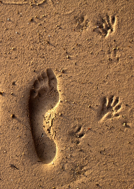 Footprints In The Sand