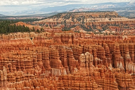 The Hoodoos