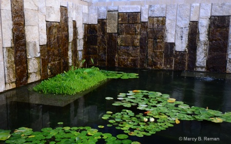 Walled Water Lilly Pond