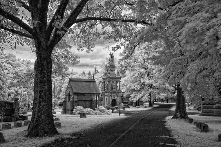 Rural Cemetery