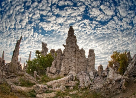 Under a Quilted Sky