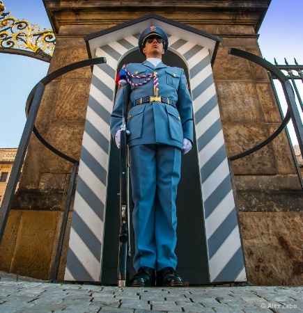 Guard, Royal Palace, Prague