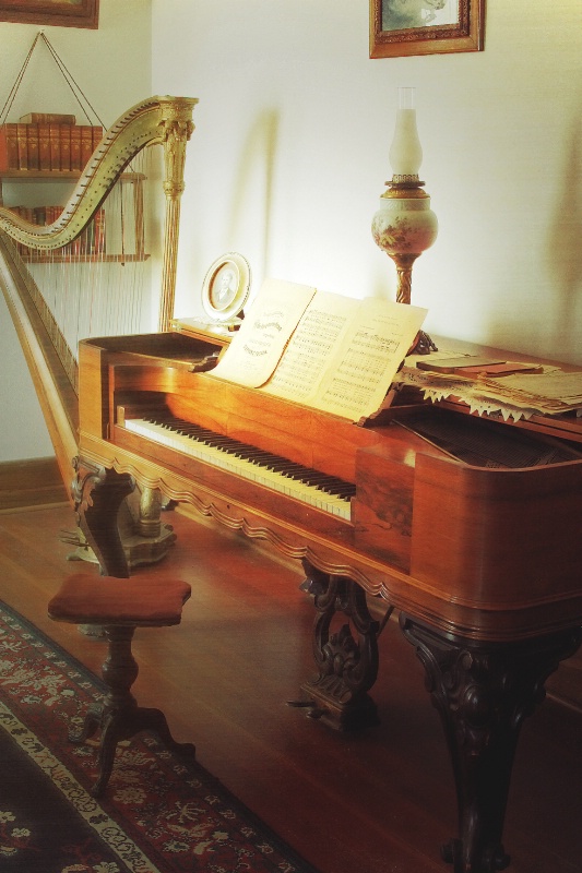 ~ AN AFTERNOON IN THE MUSIC ROOM ~