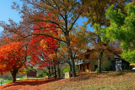 Autumn Homestead