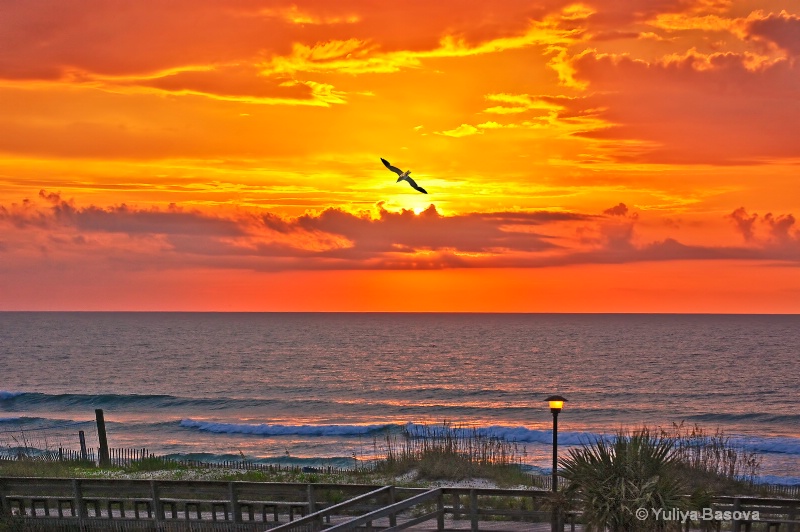 Carolina Beach at Sunrise, NC - ID: 13284639 © Yulia Basova