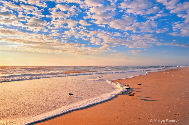 Carolina Beach at Sunrise, NC - ID: 13284640 © Yulia Basova