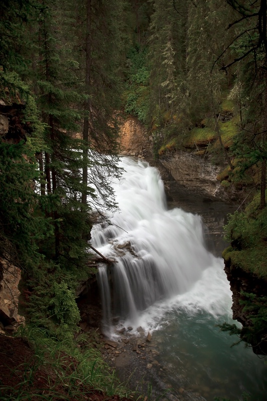 Johnston Falls Trail