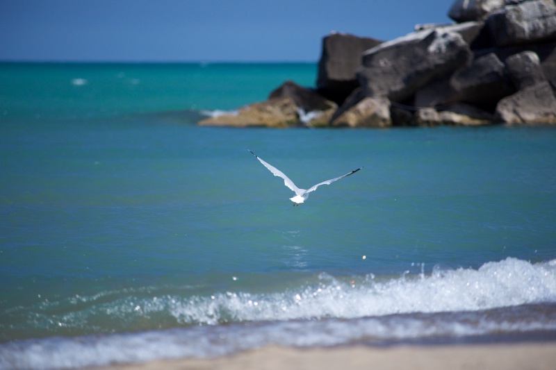 In Flight