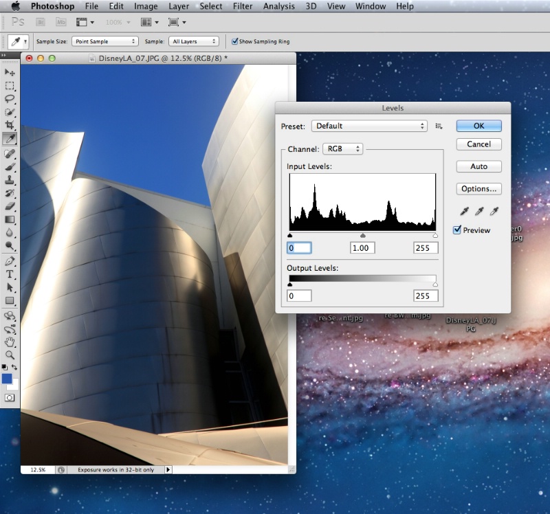 Disney concert hall detail w/histogram