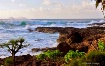 Paradise Shores