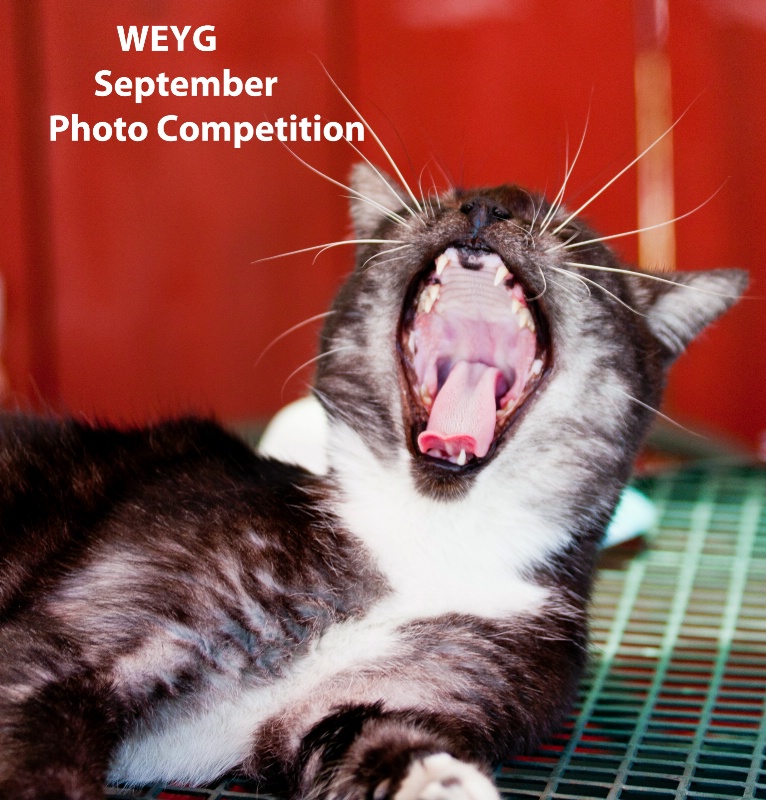 September Photo Competition