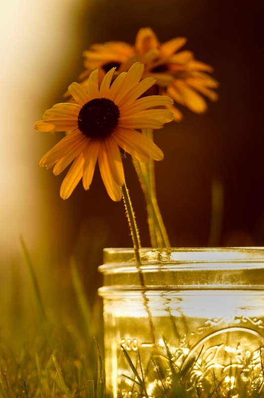 Jar of Sunshine