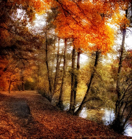 Autumn River View