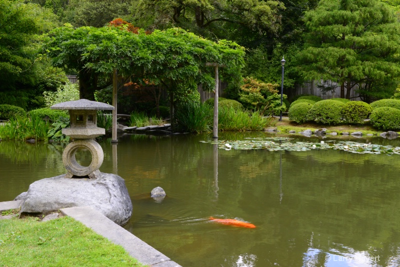 Seattle- Japanese Tea Garden