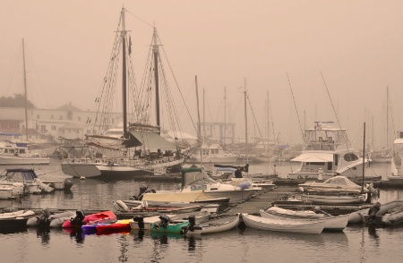 Harbor Fog