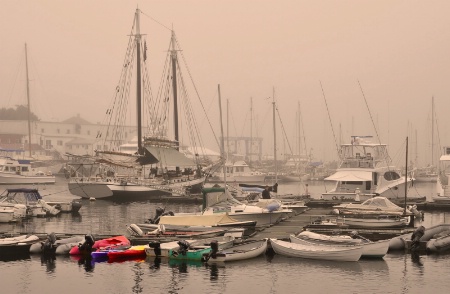 Harbor Fog