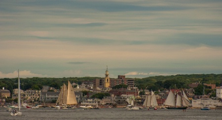 Parade of Sails - Gloucester, MA