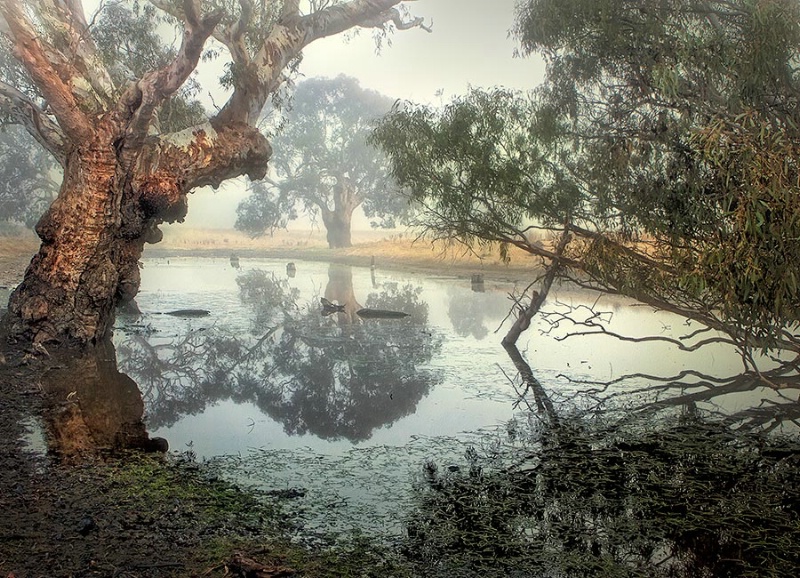 The Glenelg River