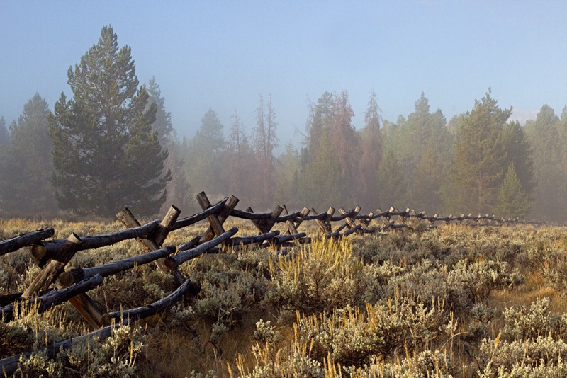 Buck and Rail Fence