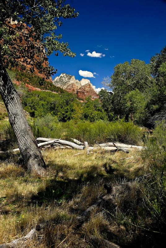 Zion National Park