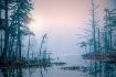 Clearing Fog