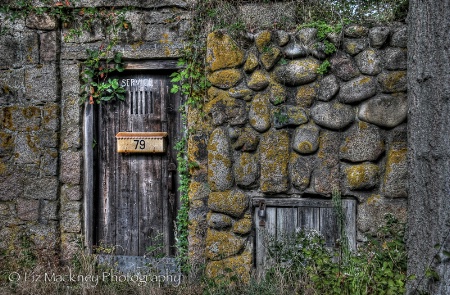 Service Door