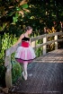 Dreams of Dances ...