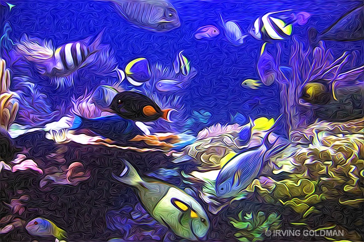 TROPICAL FISH