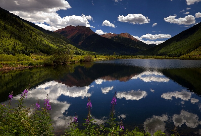 Colorado Rockies