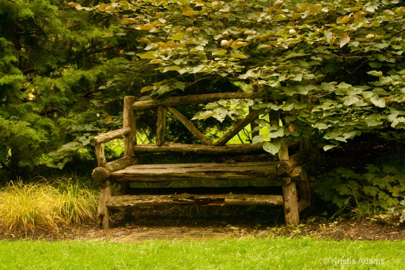 Shady Rest Stop