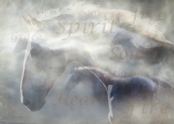 Spirit