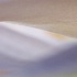 2PhotoID:  13309362 - ID: 13309362 © Carol Eade
