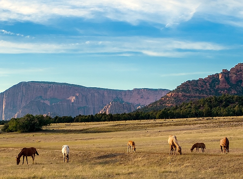 Sunset On The Mesa