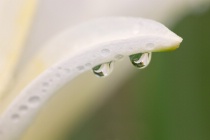 September 2012 Photo Contest 2nd Place Prize Winner