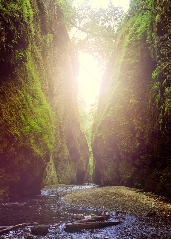 Through the gorge