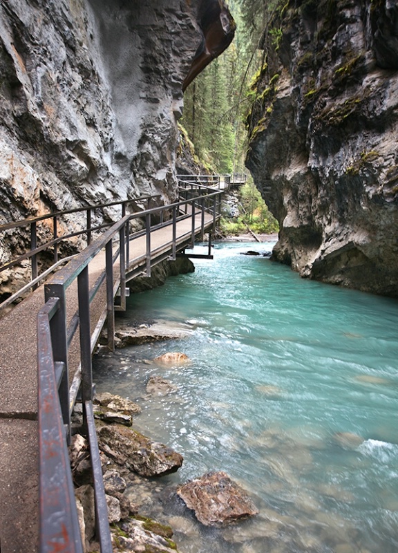 Johnston Canyon Trail