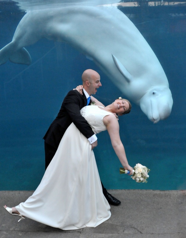 A Whale of A Wedding!