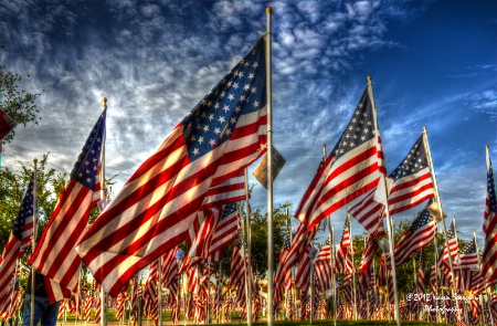 Tempe, AZ Healing Field Flags