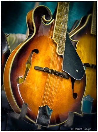  mg 0194 cowboy music instrument
