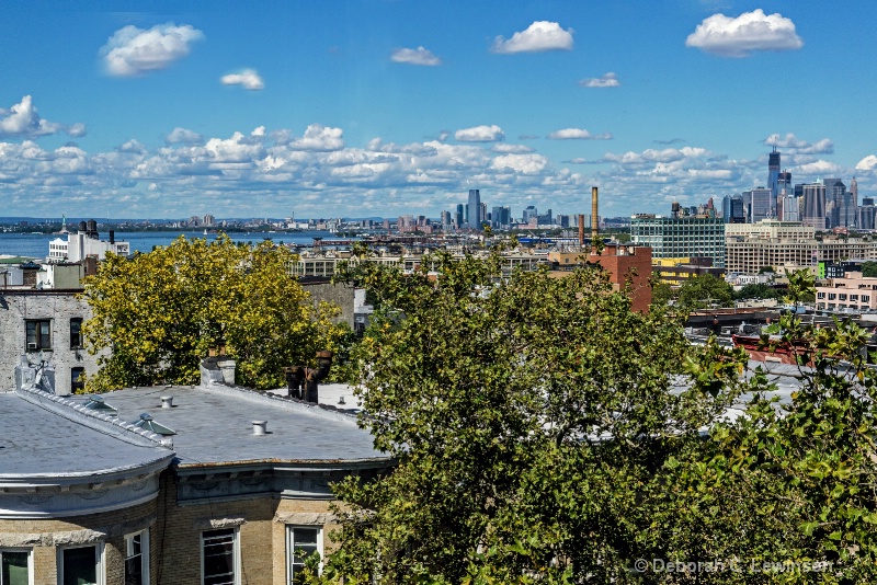 View from Brooklyn - ID: 13322463 © Deborah C. Lewinson