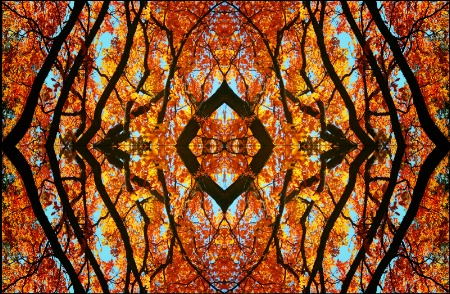 Autumn Kaleidoscope 