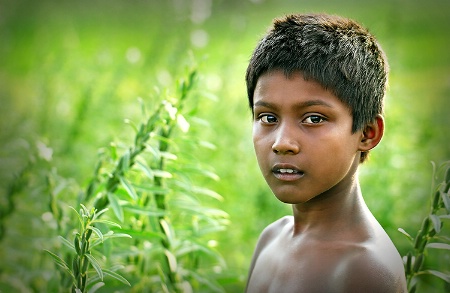 Portrait of an unknown boy